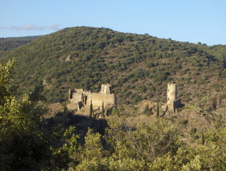 Castillo de Cabaret. Dama Loba